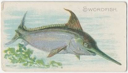 42 Swordfish